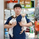 신대동물병원 이미지