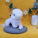 다이아몬독 이미지