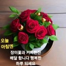 비연합기도 이미지