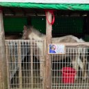 어울림목장 이미지