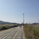 명성캠핑장 | 여주 강천섬 캠핑장 인현왕후 5번 사이트 후기 (경기도 공공 캠핑장)