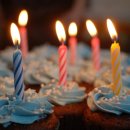 민들레 태권도장 이미지