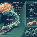 인지예비능(Cognitive Reserve) 이미지