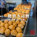 빵하루 | 강원도 영월ㅣ소금빵 맛집 후기, 하루만에 5종류 맛보기 [영월소금빵]