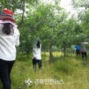 녹전면행정복지센터 이미지