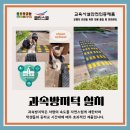 클린스쿨 대구 이미지