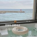 스테이구구 | 강릉 감성숙소 주문진 스테이구구 방문후기