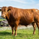 명우농장 이미지