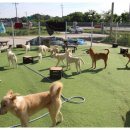 너와함개냥 이미지