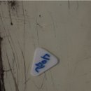 스타스테이 이미지