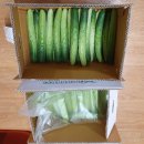 장금이야채과일 이미지