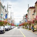 배롱나무거리 이미지