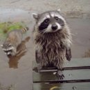 화산 체험관 공중화장실 | [대구/군위] 구름위에서 보낸 하루, 군위 화산마을 바람이좋은저녁 방갈로, 숲휴게소, 풍차전망대