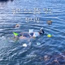 울산 판지항 스노클링 명소 주차 위치 부대시설 정보