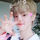 LOVELY CAT 이미지