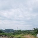 부등 농장 이미지