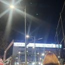 노량진 방어맛집 형제상회 &amp; 초장집 진주식당 추천 (feat.수산시장 할인 팁)