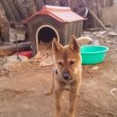 정돌이네 이미지