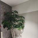 [남부] 다이어트댄스 이미지