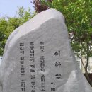 이화우 이미지