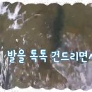 4월8일 태국 코로나 소식 및 태국골프 관련소식 이미지