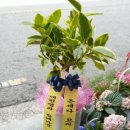이대현수학교습소