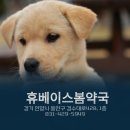 휴베이스 사랑 약국 이미지