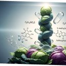지혜병원 이미지