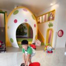 공룡풀빌라펜션 이미지