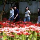 가오근린공원 이미지