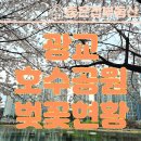 채운부동산중개사무소 이미지