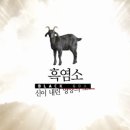 김홍정농장 이미지