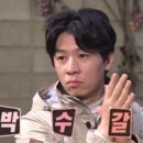 팀엑스핏 개봉 이미지