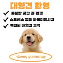 댕그루밍 이미지