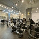 디스이즈 피트니스 이미지