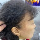 성남독일보청기 | 맞춤 보청기 체험! 분당보청기 전문 <성남독일보청기> 방문후기