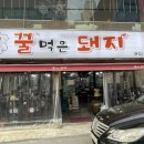 꿀먹은 돼지
