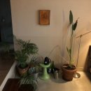 답다니언덕집 이미지