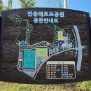 안중레포츠공원 풋살구장