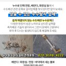 서교동주민센터 화장실 이미지