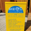 퍼피랜드 애견카페 이미지