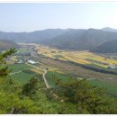 옥산1동 이미지