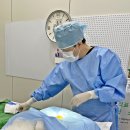 문덕동물병원 이미지