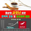 홍가 티스토리