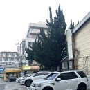 성전오락실 이미지