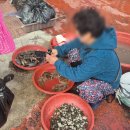 진도읍 조금시장 | 전남 진도 전통시장 &#39;진도읍조금시장&#39;