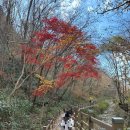 마이산도립공원 일원 | 마이산 주차장(남부·북부) 완전정복! 탑사 코스·단풍 명소·맛집까지 최신 업데이트