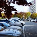 갈울근린공원 이미지