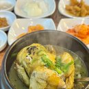 문수산상황삼계탕 | 울산 태화동 맛집 문수산상황삼계탕 태화동점 상황삼계탕 후기