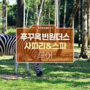 (주)골든팜 - 의왕시 | 푸꾸옥 가족여행 빈원더스 사파리 기린 투어 푸꾸옥 자유여행 후기
